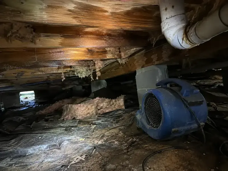 Air mover drying a wet crawlspace with damaged insulation under a home
