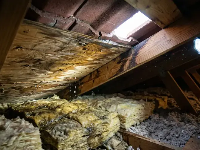 Flashlight on water-stained roof decking and soaked attic insulation